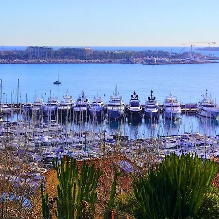 Proche Carlton & Croisette, 203 - Palmazur *